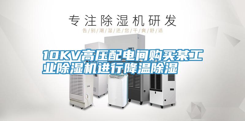 10KV高壓配電間購買某工業香蕉视频国产進行降溫除濕