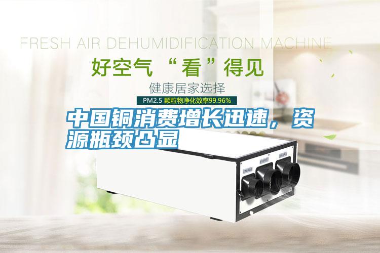 中國銅消費增長迅速，資源瓶頸凸顯