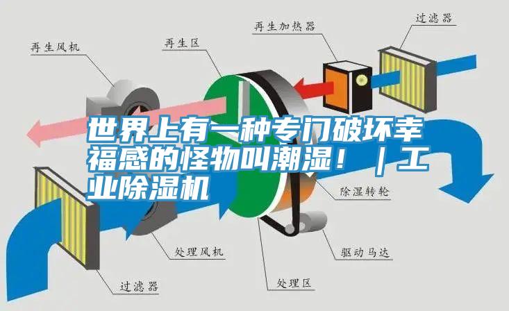 世界上有一種專門破壞幸福感的怪物叫潮濕！｜工業香蕉视频国产