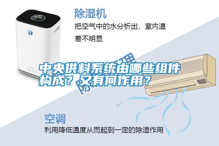 中央供料係統由哪些組件構成？又有何作用？