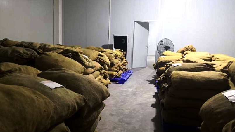 倉庫香蕉视频国产在陳皮儲存過程中的應用