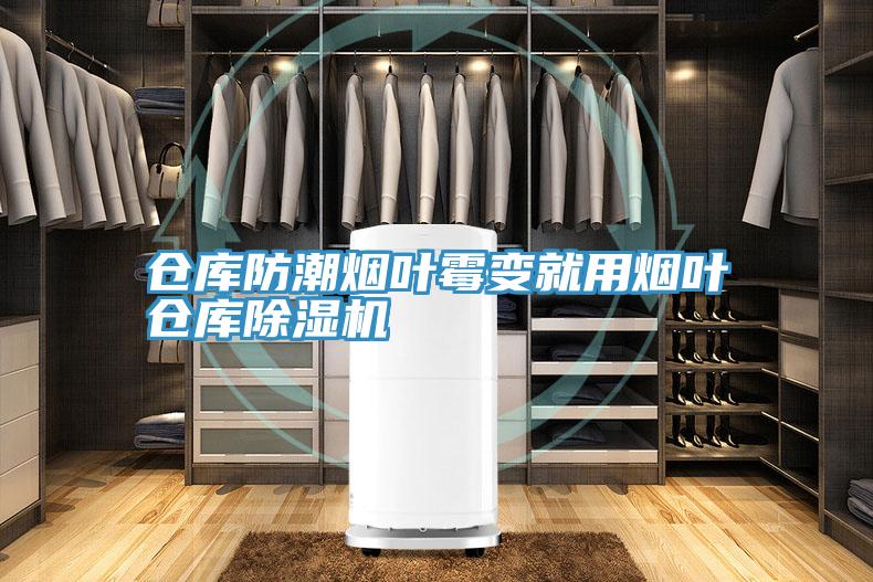 倉庫防潮煙葉黴變就用煙葉倉庫香蕉视频国产