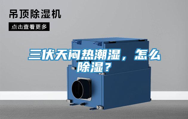 三伏天悶熱潮濕，怎麽除濕？