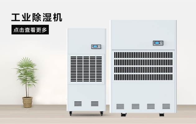 三八節送媽媽的禮物，選這款大香蕉性爱网除濕器就對了