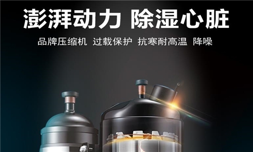 四大香蕉视频国产的經營特點
