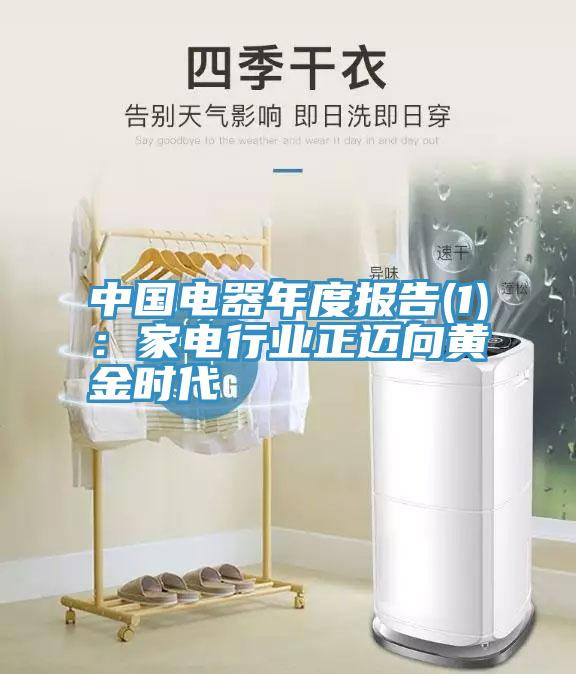 中國電器年度報告(1)：家電行業正邁向黃金時代