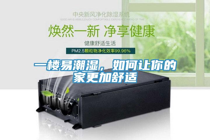 一樓易潮濕，如何讓你的家更加舒適