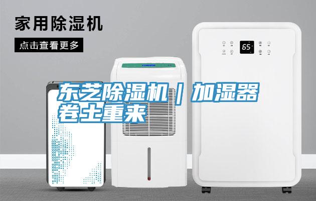 東芝香蕉视频国产｜加濕器卷土重來
