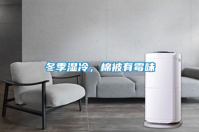 冬季濕冷，棉被有黴味