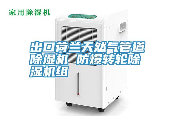 出口荷蘭天然氣管道香蕉视频国产 防爆轉輪香蕉视频国产組
