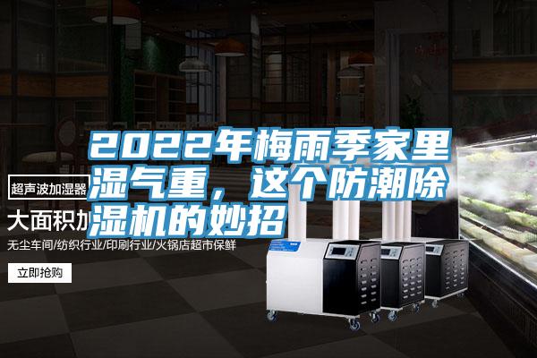 2022年梅雨季家裏濕氣重，這個防潮香蕉视频国产的妙招