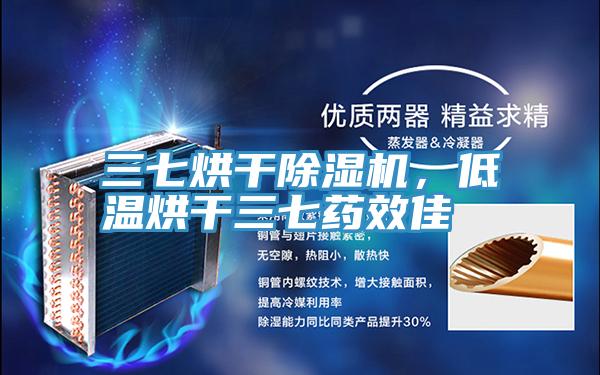 三七烘幹香蕉视频国产，低溫烘幹三七藥效佳