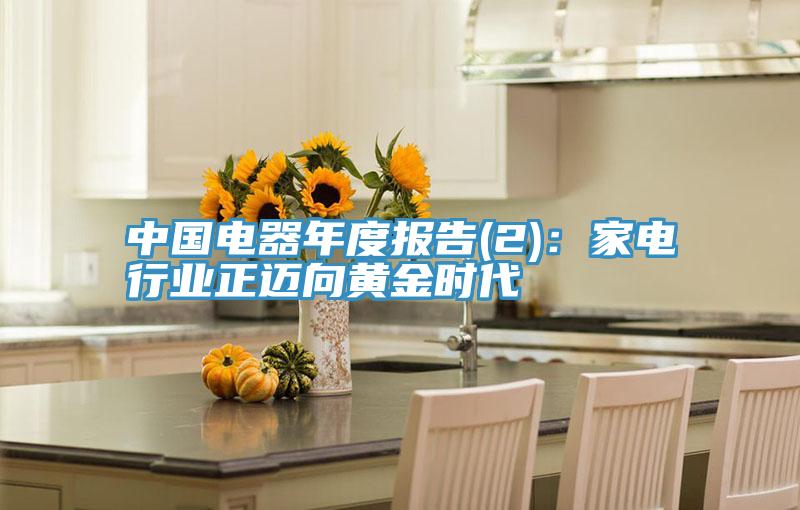 中國電器年度報告(2)：家電行業正邁向黃金時代