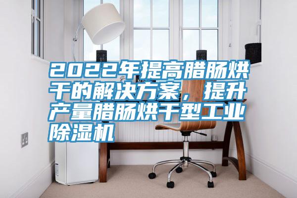 2022年提高臘腸烘幹的解決方案，提升產量臘腸烘幹型工業香蕉视频国产