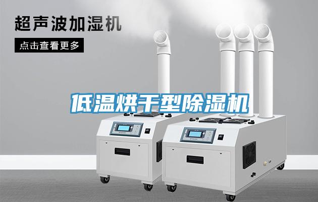 低溫烘幹型香蕉视频国产