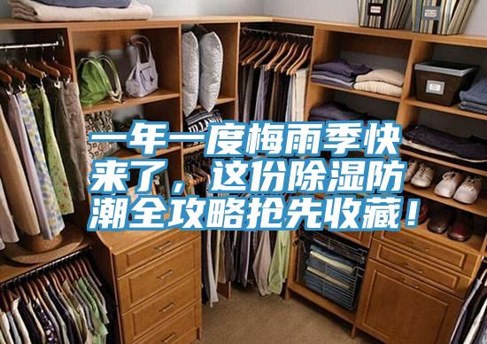 一年一度梅雨季快來了，這份除濕防潮全攻略搶先收藏！