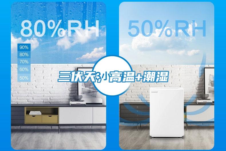 三伏天，高溫+潮濕