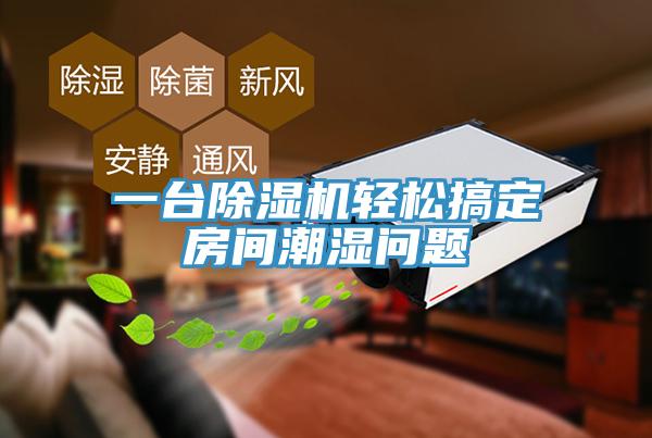 一台香蕉视频国产輕鬆搞定房間潮濕問題
