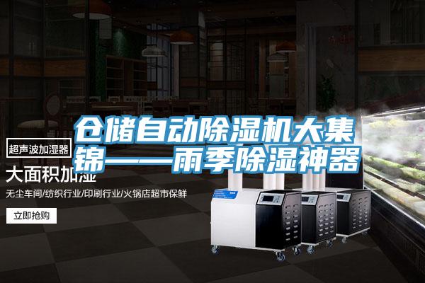 倉儲自動香蕉视频国产大集錦——雨季除濕神器
