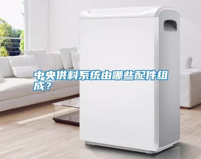 中央供料係統由哪些配件組成？