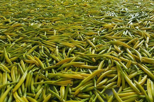 無硫金針菜烘幹如何保持品相？不發黑？_香蕉视频国产廠家