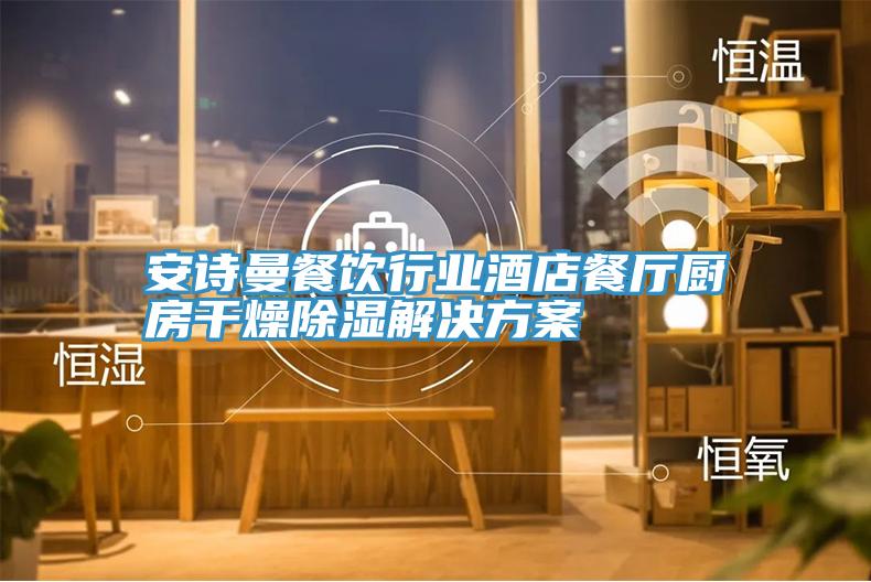 大香蕉性爱网餐飲行業酒店餐廳廚房幹燥除濕解決方案