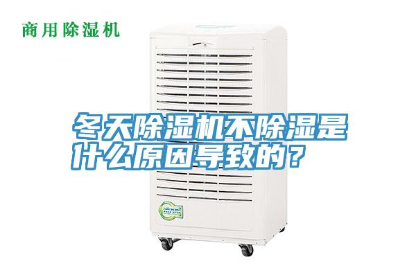 冬天香蕉视频国产不除濕是什麽原因導致的？