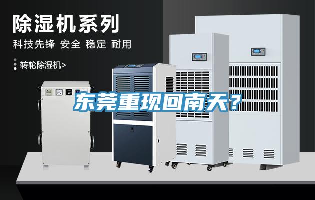 東莞重現回南天？