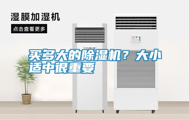 買多大的香蕉视频国产？大小適中很重要