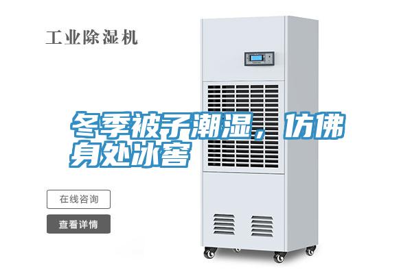 冬季被子潮濕，仿佛身處冰窖