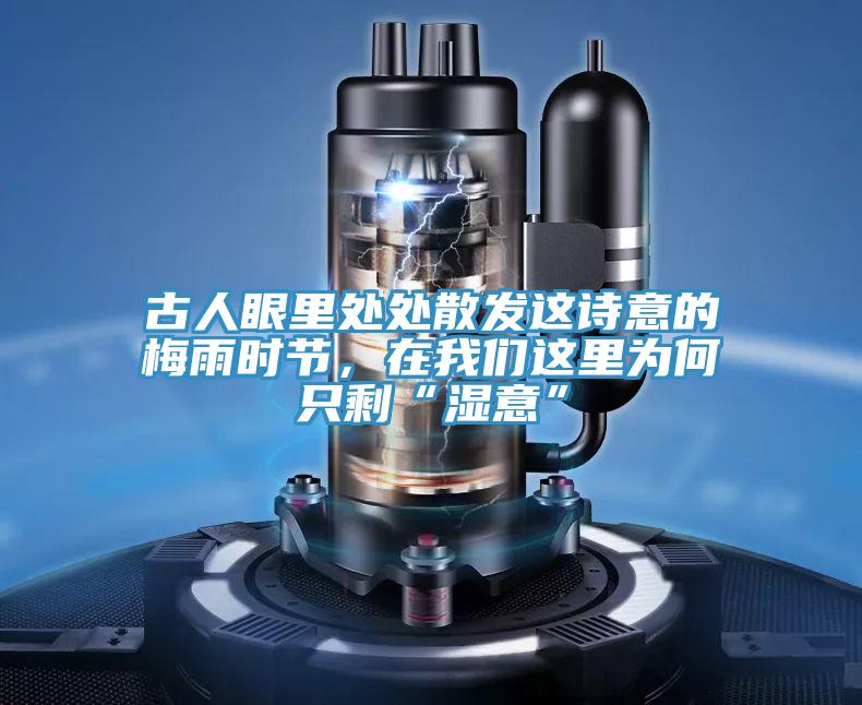 古人眼裏處處散發這詩意的梅雨時節，在大香蕉性爱网這裏為何隻剩“濕意”