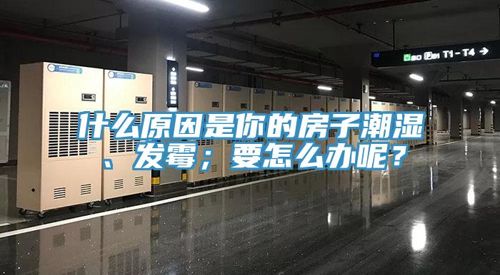 什麽原因是你的房子潮濕、發黴；要怎麽辦呢？