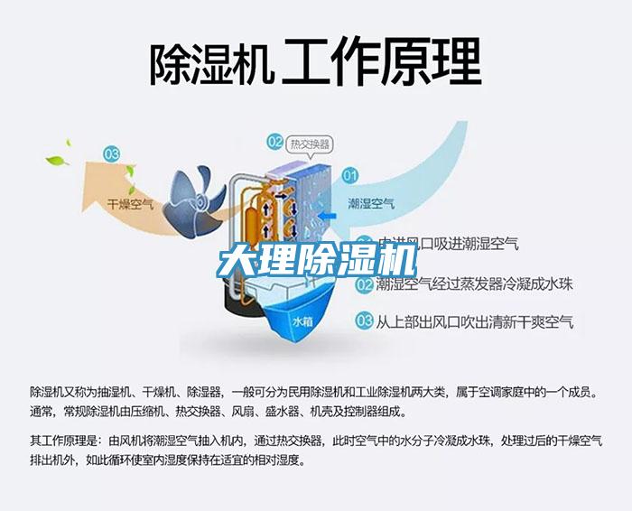 大理香蕉视频国产