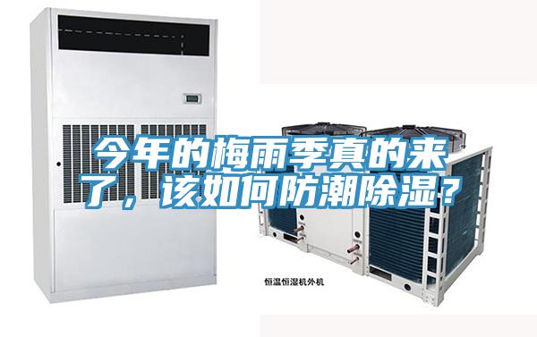 今年的梅雨季真的來了，該如何防潮除濕？