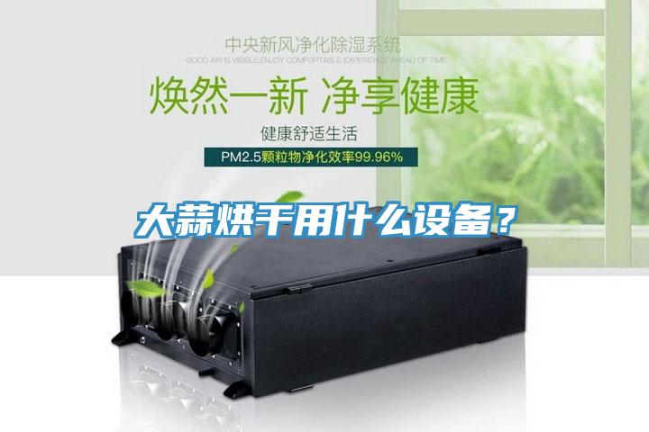 大蒜烘幹用什麽設備？