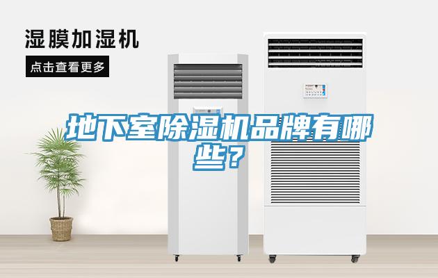 地下室香蕉视频国产品牌有哪些？