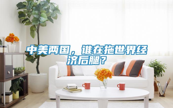 中美兩國，誰在拖世界經濟後腿？