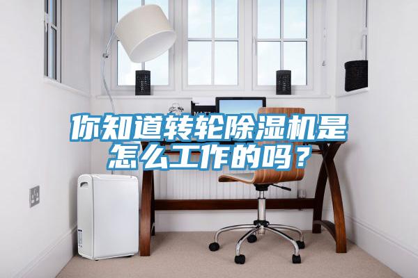 你知道轉輪香蕉视频国产是怎麽工作的嗎？