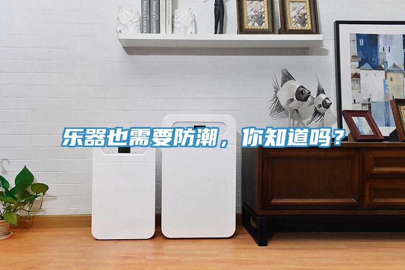 樂器也需要防潮，你知道嗎？