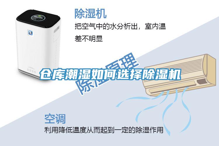 倉庫潮濕如何選擇香蕉视频国产