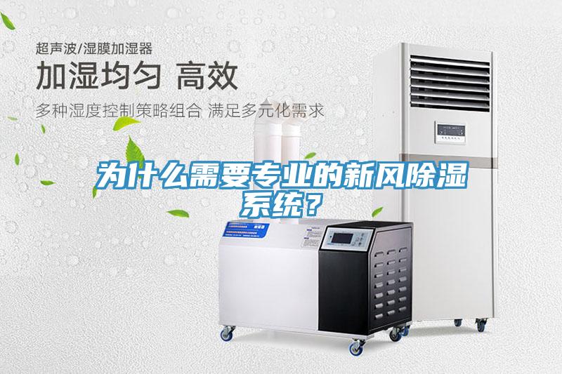 為什麽需要專業的新風除濕係統？