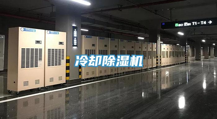 冷卻香蕉视频国产
