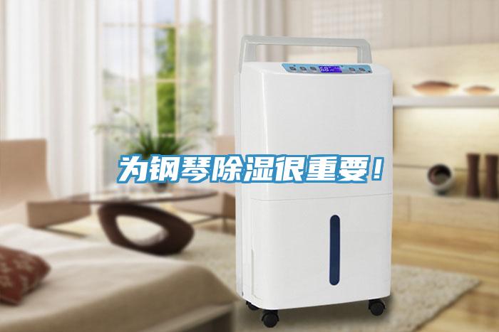 為鋼琴除濕很重要！