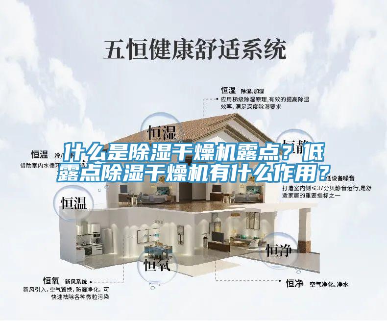 什麽是除濕幹燥機露點？低露點除濕幹燥機有什麽作用？