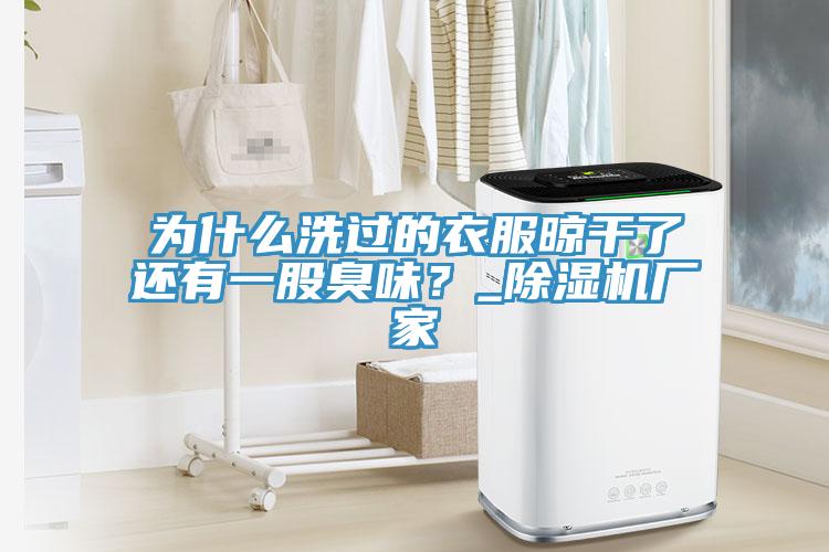 為什麽洗過的衣服晾幹了還有一股臭味？_香蕉视频国产廠家