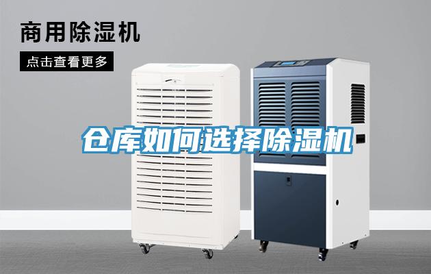 倉庫如何選擇香蕉视频国产