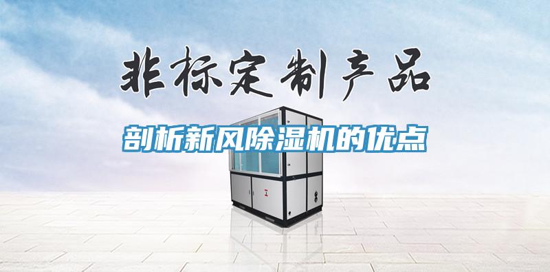 剖析新風香蕉视频国产的優點