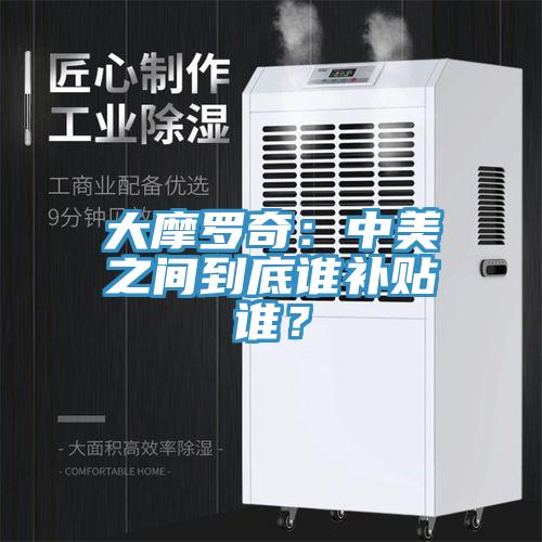 大摩羅奇：中美之間到底誰補貼誰？