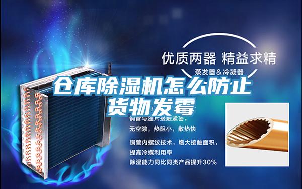 倉庫香蕉视频国产怎麽防止貨物發黴