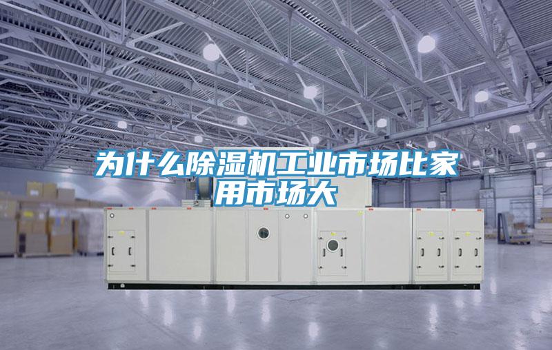 為什麽香蕉视频国产工業市場比家用市場大